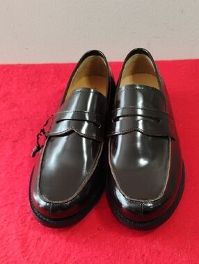 Express Shiny Brown Penny Loafers